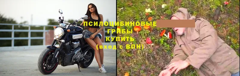 Где купить Подпорожье OMG ТОР  КОКАИН  СК  Меф  АМФЕТАМИН  Гашиш  Канабис  НБОМе 